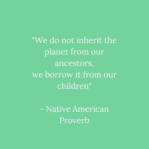 We do not inherit the planet